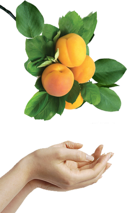 ipad-home-responsive